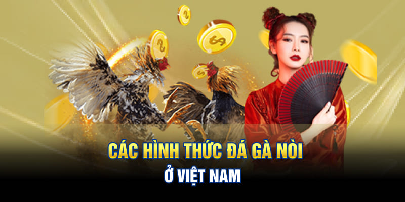 Các hình thức đá gà nòi ở Việt Nam