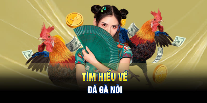 Tìm hiểu về đá gà nòi