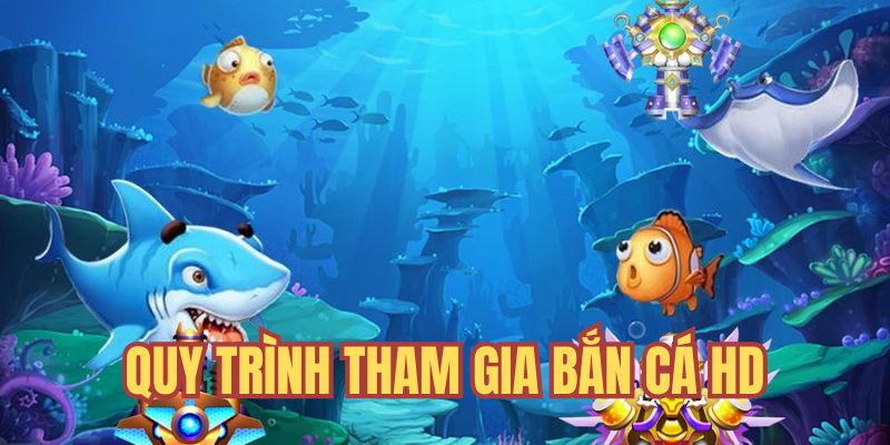 Quy trình tham gia cá cược