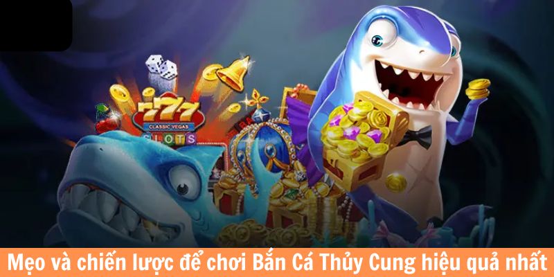 Mẹo và chiến lược để chơi bắn cá Thủy Cung hiệu quả nhất