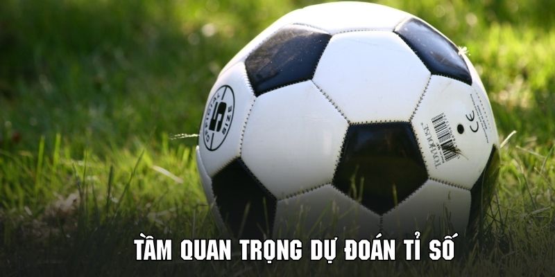 Khám phá tầm quan trọng của việc dự đoán tỉ số trong bóng đá