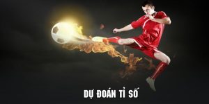 dự đoán tỉ số