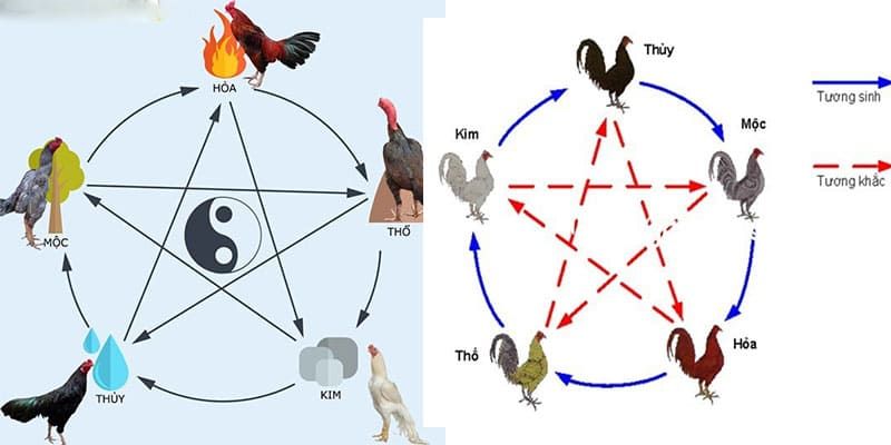 Nên hiểu rõ mối quan hệ để tạo nên sức mạnh chiến kê tốt nhất